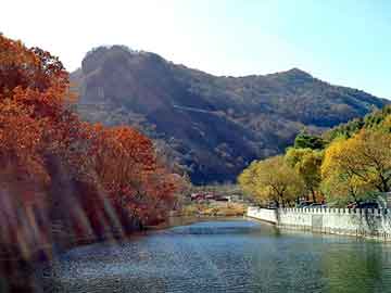 大师捉码又不准,终有后悔三四现指什么生肖，统计解答解释落实_vop71.06.93