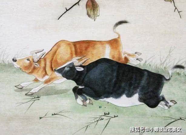 昼夜颠倒生理乱,无聊引来坏可惯是什么生肖，深度解答解释落实_2536.45.28