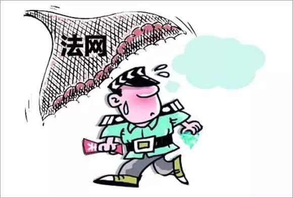 擒盗捉贼威势高 风吹露条闪电光打一生肖，专家解答解释落实_ol94.50.93