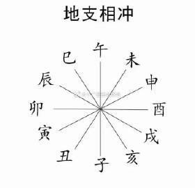 寅亥六合地支中，主大夫大鸡狗升。打一生肖，全面解答解释落实_oub26.78.50