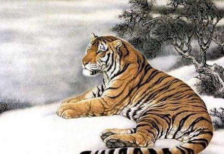 旺运之人十五过飞龙猛虎走一起打一生肖，实时解答解释落实_p168.41.64