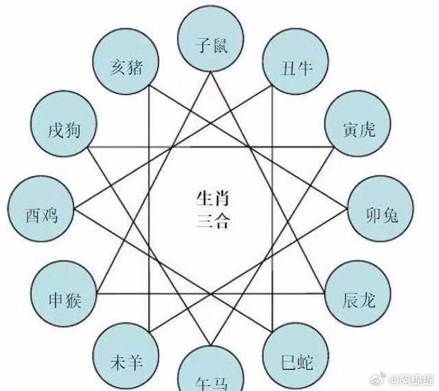 寅亥六合地支中，主大夫大鸡狗升。打一生肖，详细解答解释落实_bd96.22.21