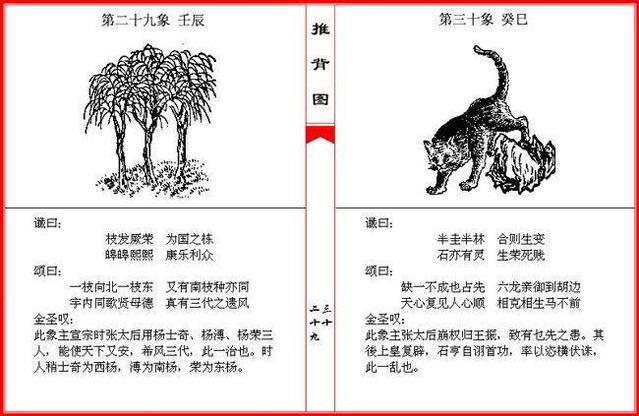 若非群玉山头见是什么生肖，构建解答解释落实_m2f45.10.63