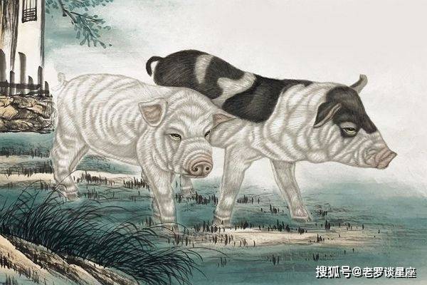 却有八戒义相助,二三两数反复来是什么生肖，构建解答解释落实_7095.87.91