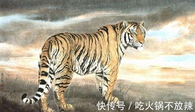 高居家中出神力,大将请人王进餐是什么生肖，深度解答解释落实_4n55.43.66