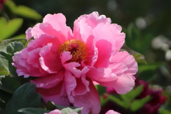 热文 第9页