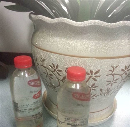 伴桶水，半天吊。以偏概全最可笑 打一个生肖，构建解答解释落实_ua73.39.70