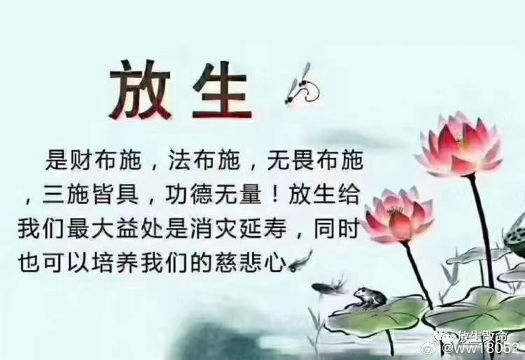 有德無才，终生潦倒，惟望來生好福報!打一生肖，实证解答解释落实_yv57.83.91