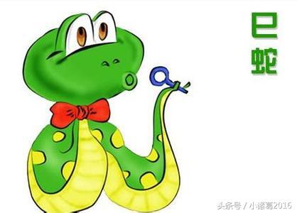 光阴一去年年重,一虎一蛇分南北是什么意思动物生肖，前沿解答解释落实_w356.74.25