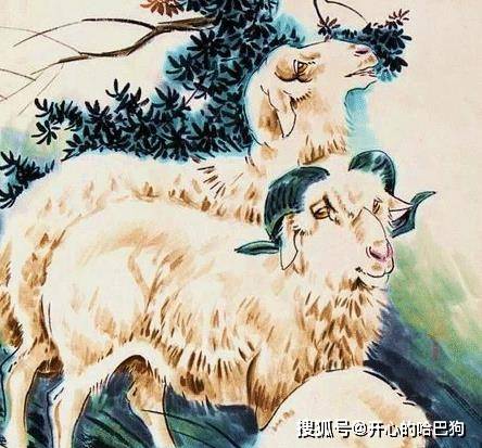 同廿共苦有羊兔，单双雨分各有数 打一肖，前沿解答解释落实_2685.65.08